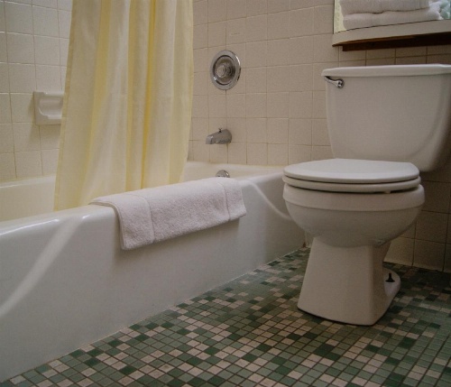 Meadow Court Inn - Ithaca image 13