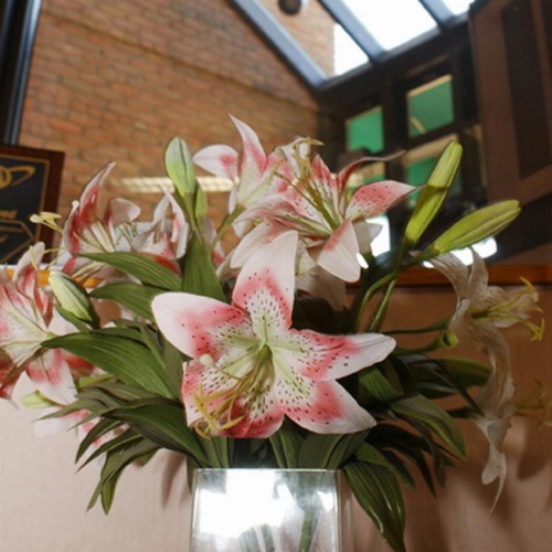 Meadow Court Inn - Ithaca image 24